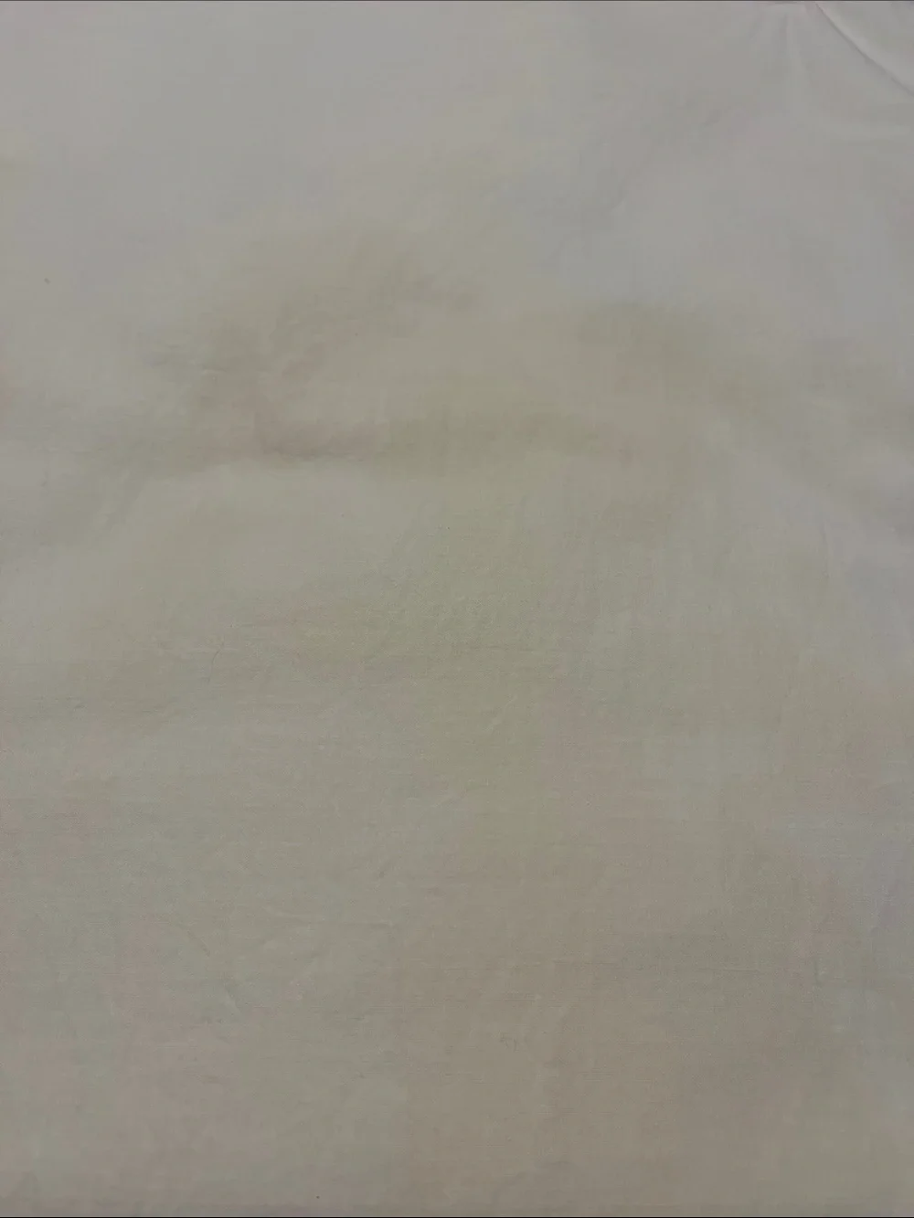 Set of 2, 1950’s Hand-Embroidered Pillowcases- As Is Condition- Light age spots